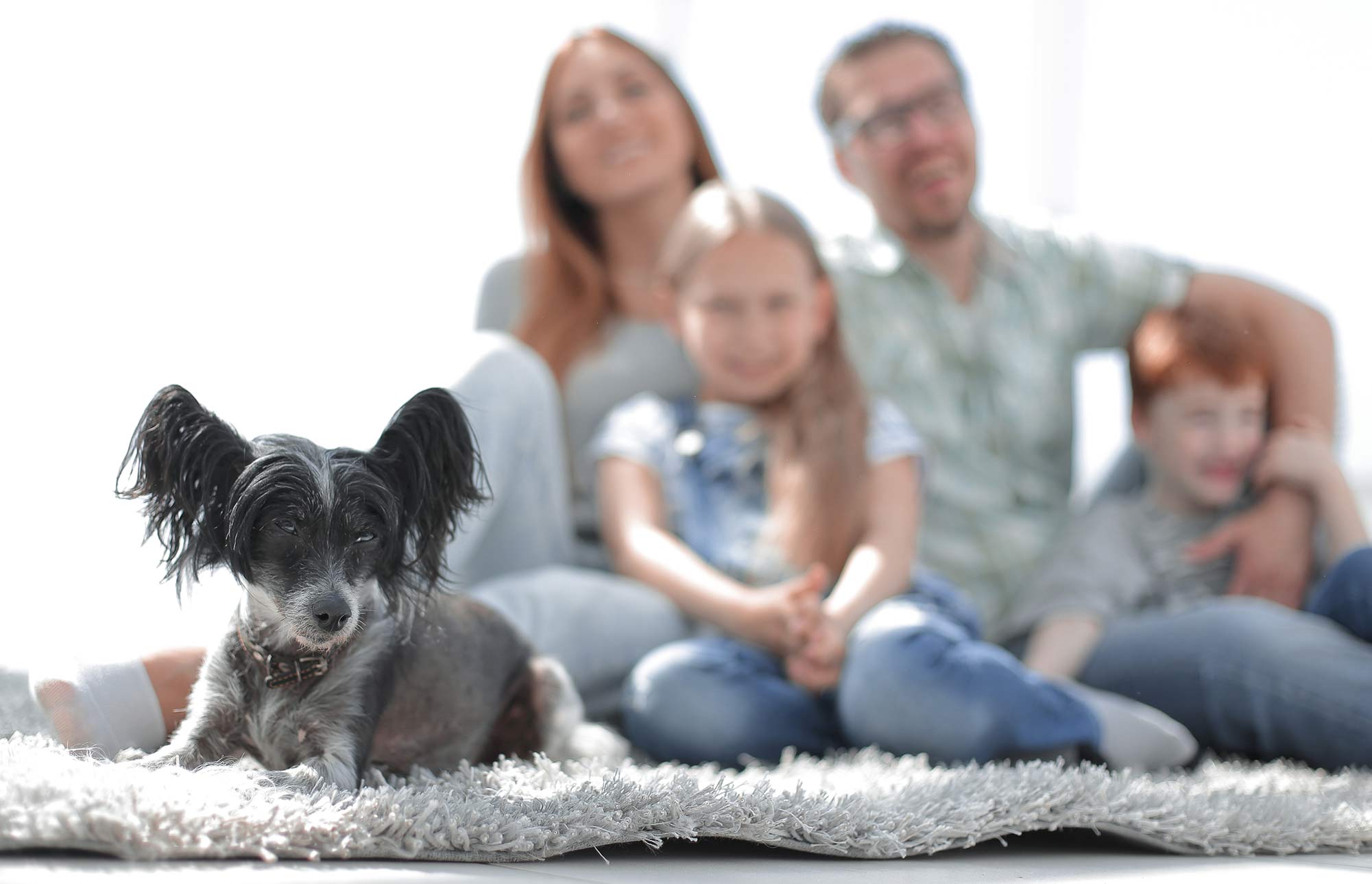 Family sitting on carpet with their Pet Dog